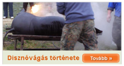 Disznóbágás története